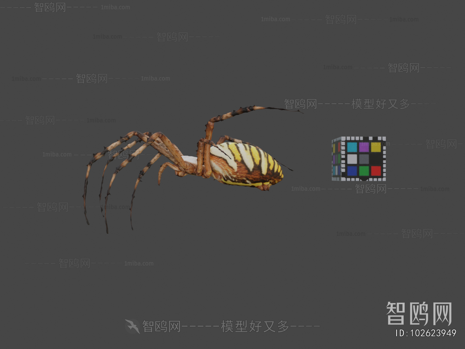 Modern Animal