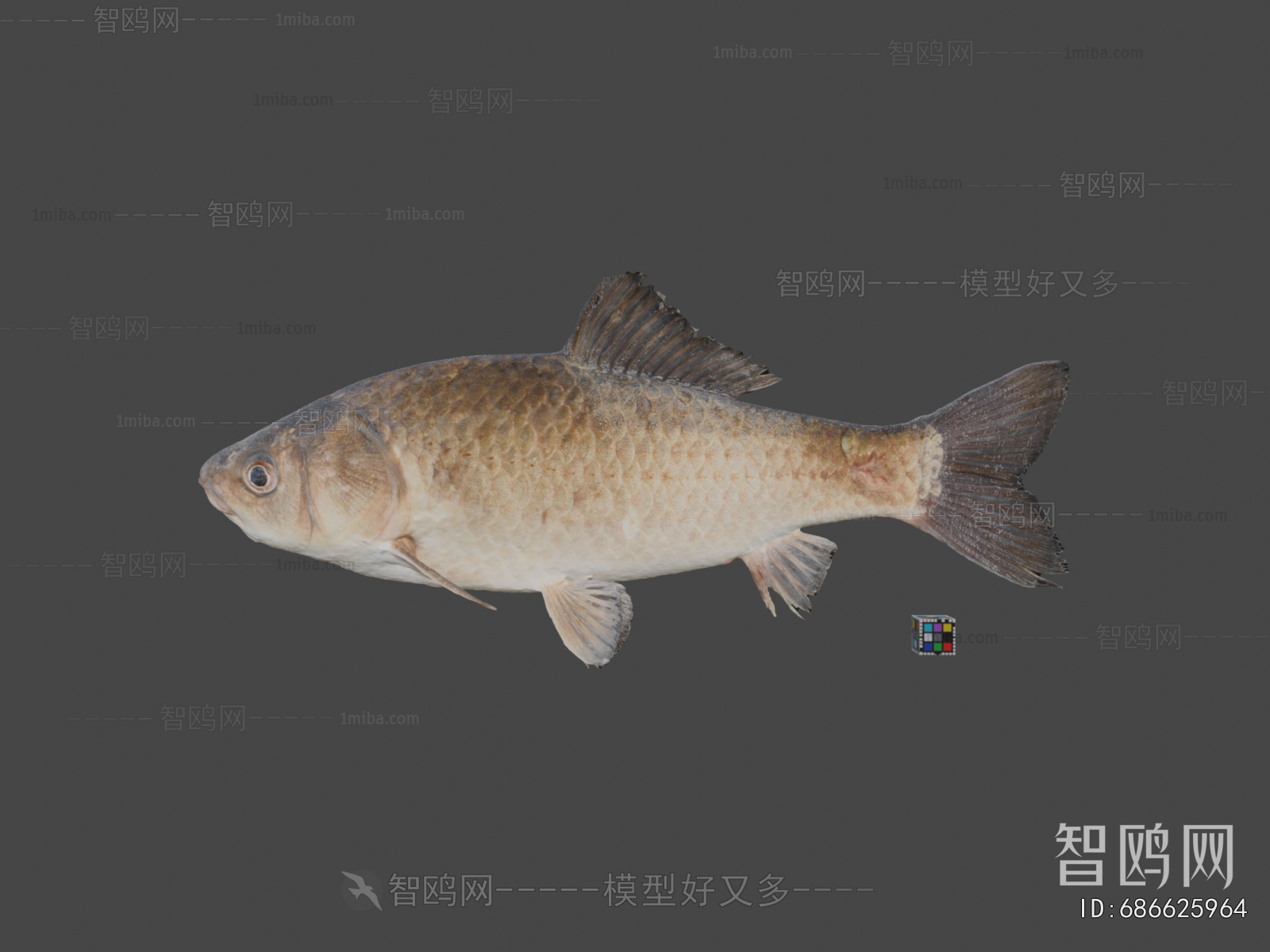 Modern Aquatic Animals