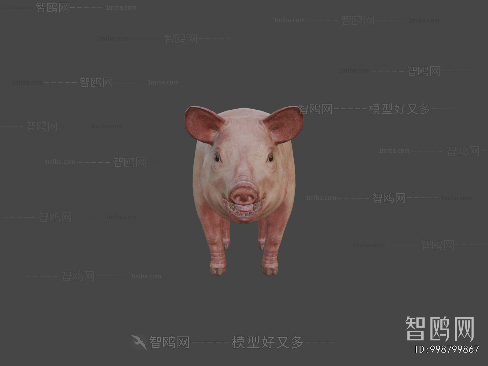 Modern Animal Pig