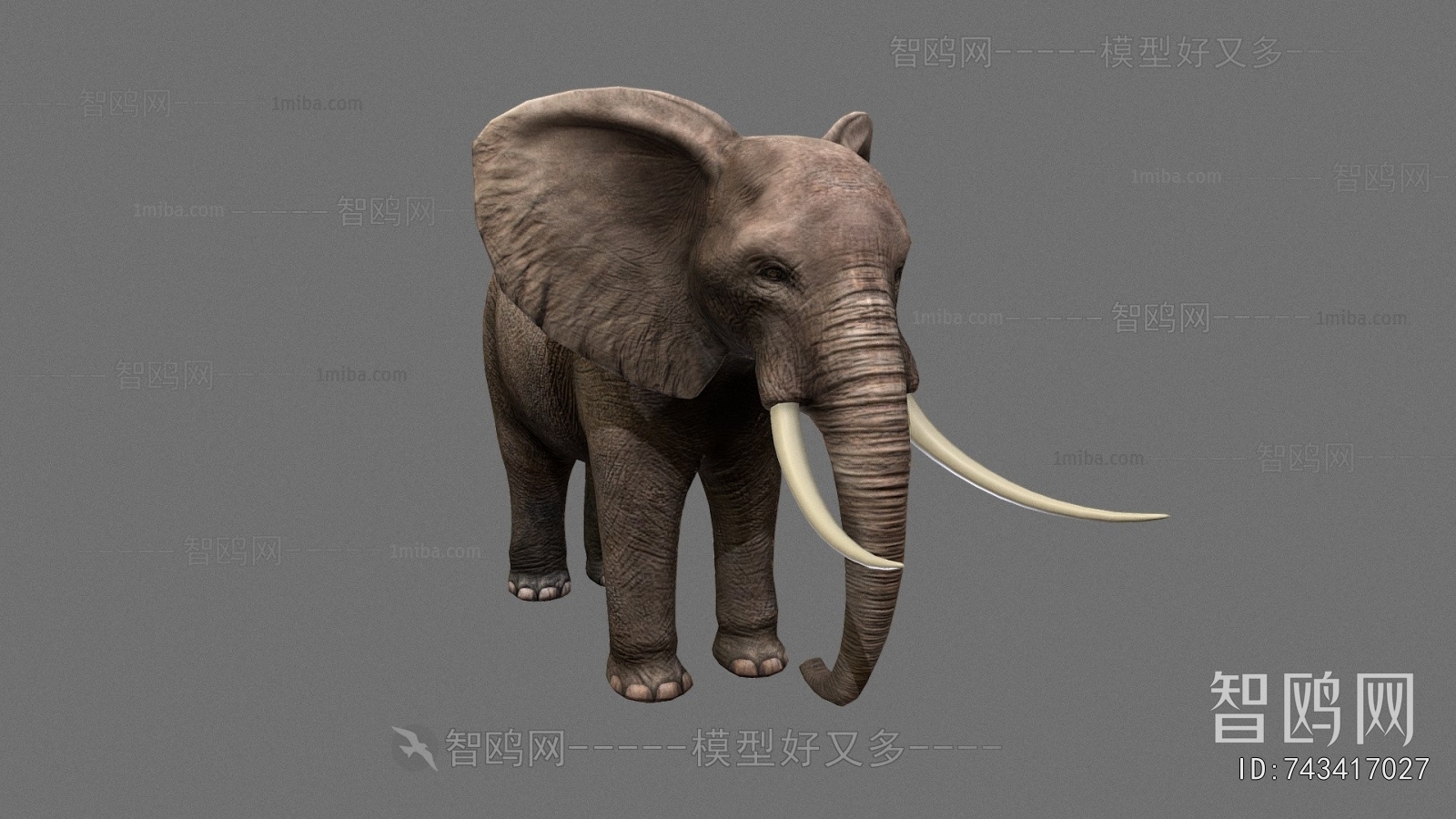 Modern Animal