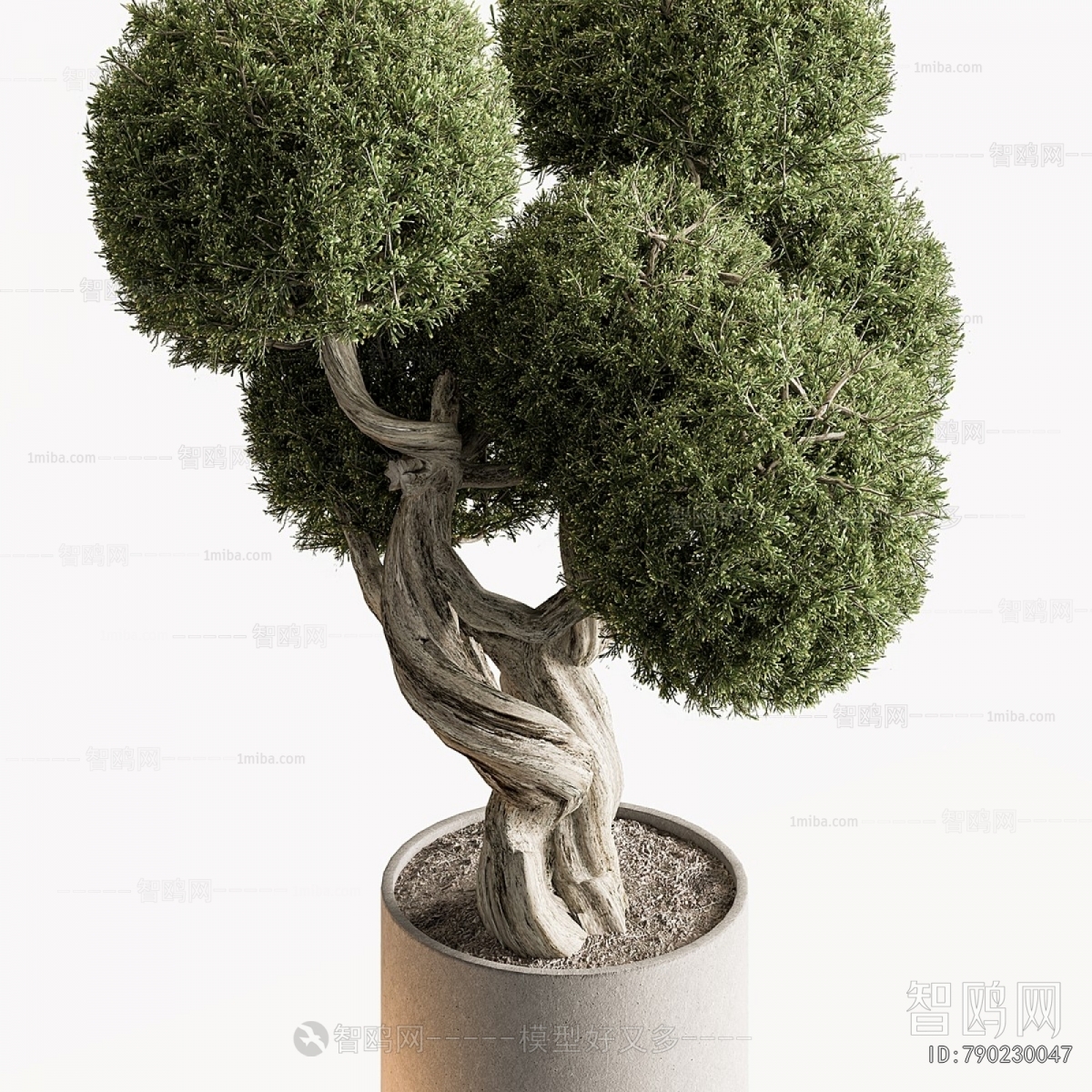 Modern Ground Green Plant Potted Plants
