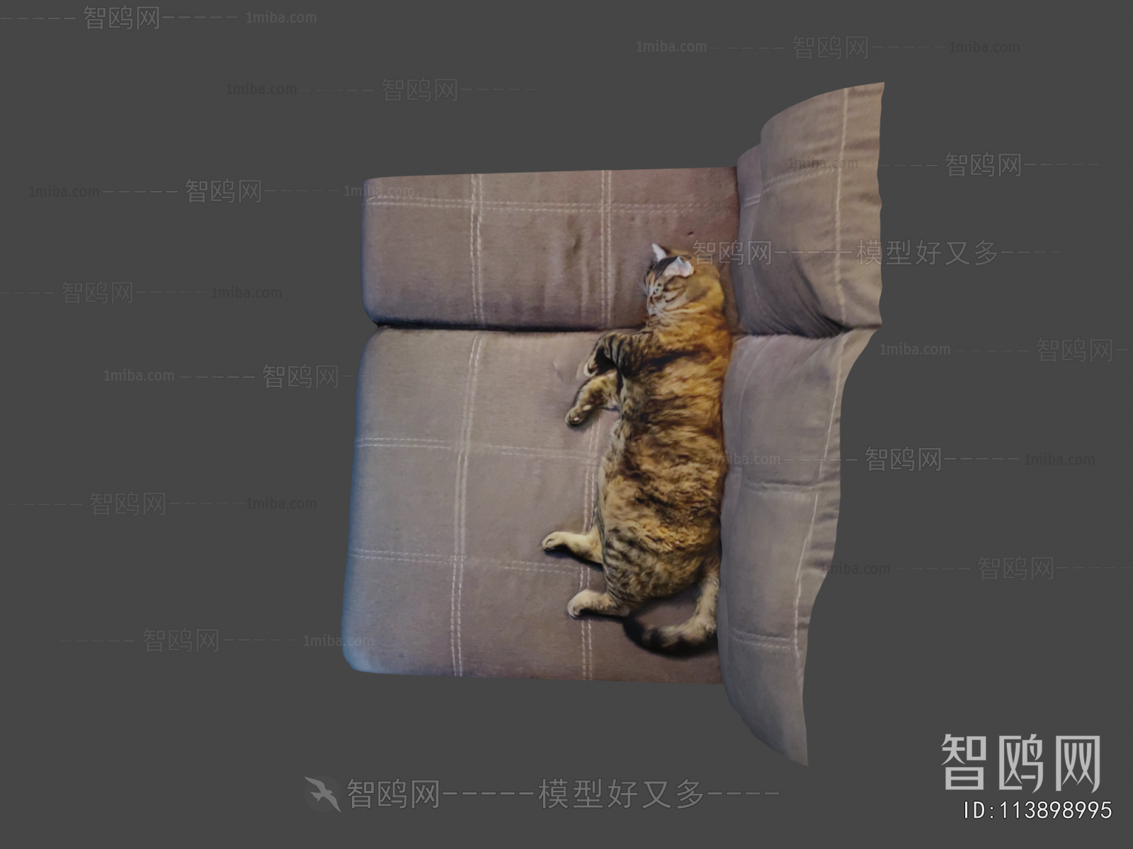 Modern Animal Cat