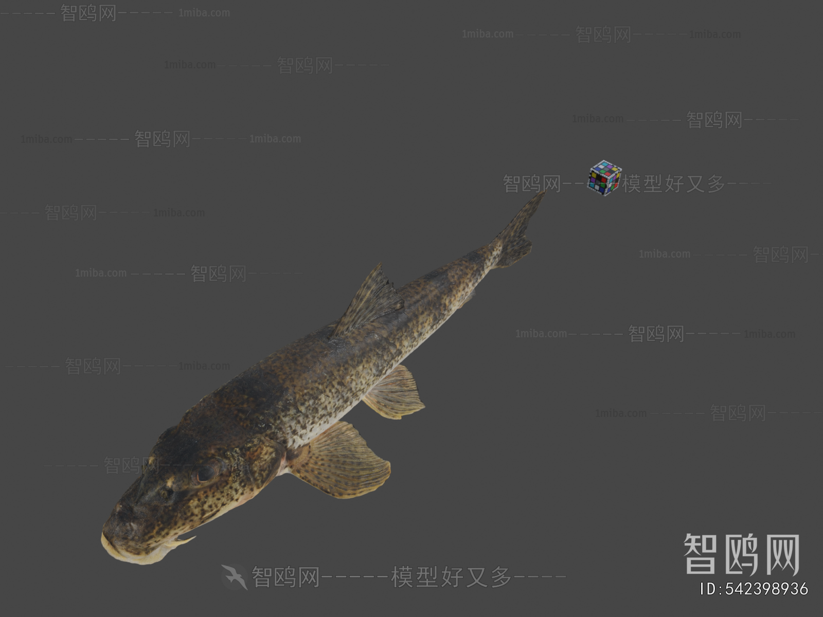 Modern Aquatic Animals