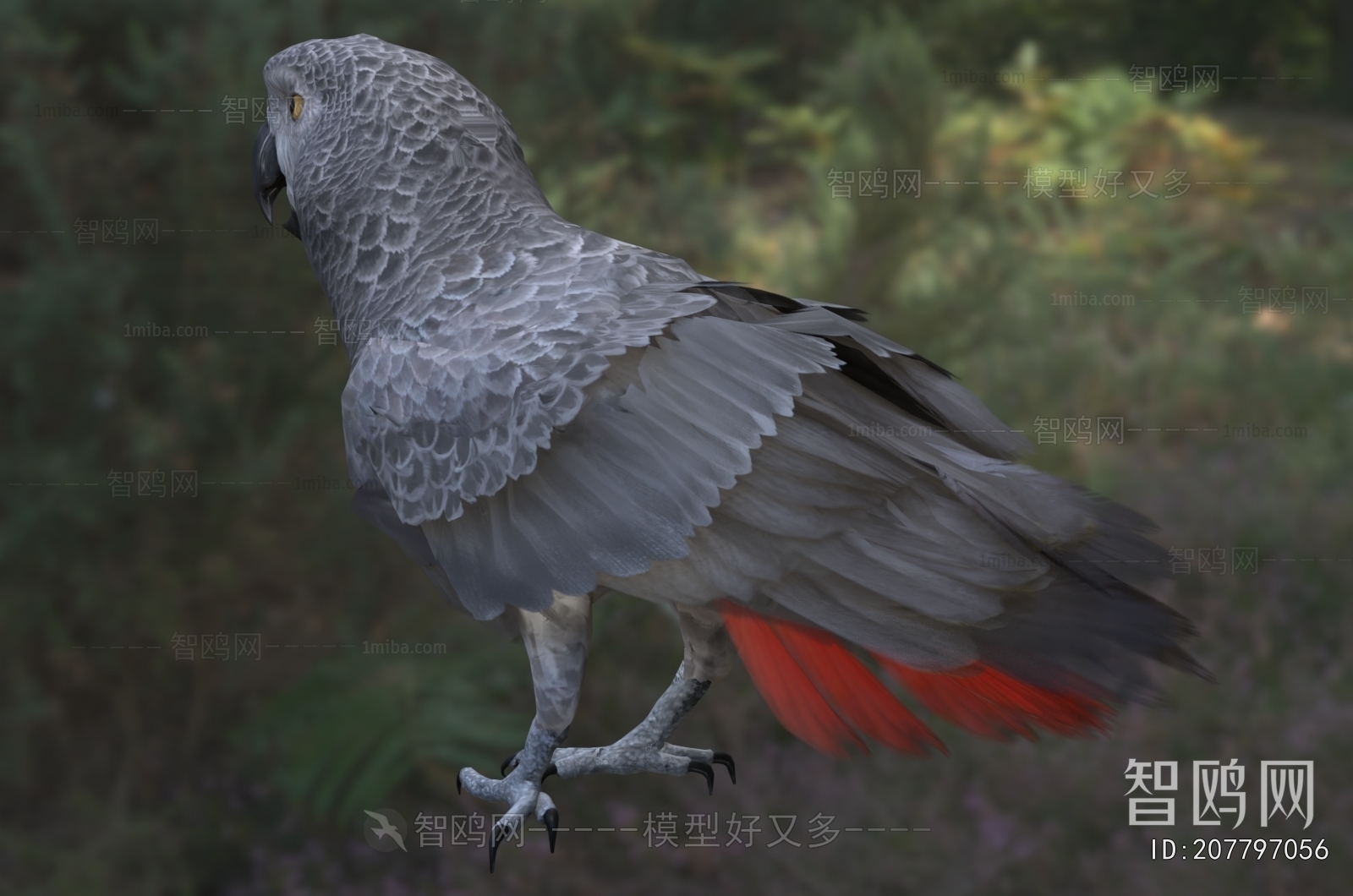 Modern Flying Animals