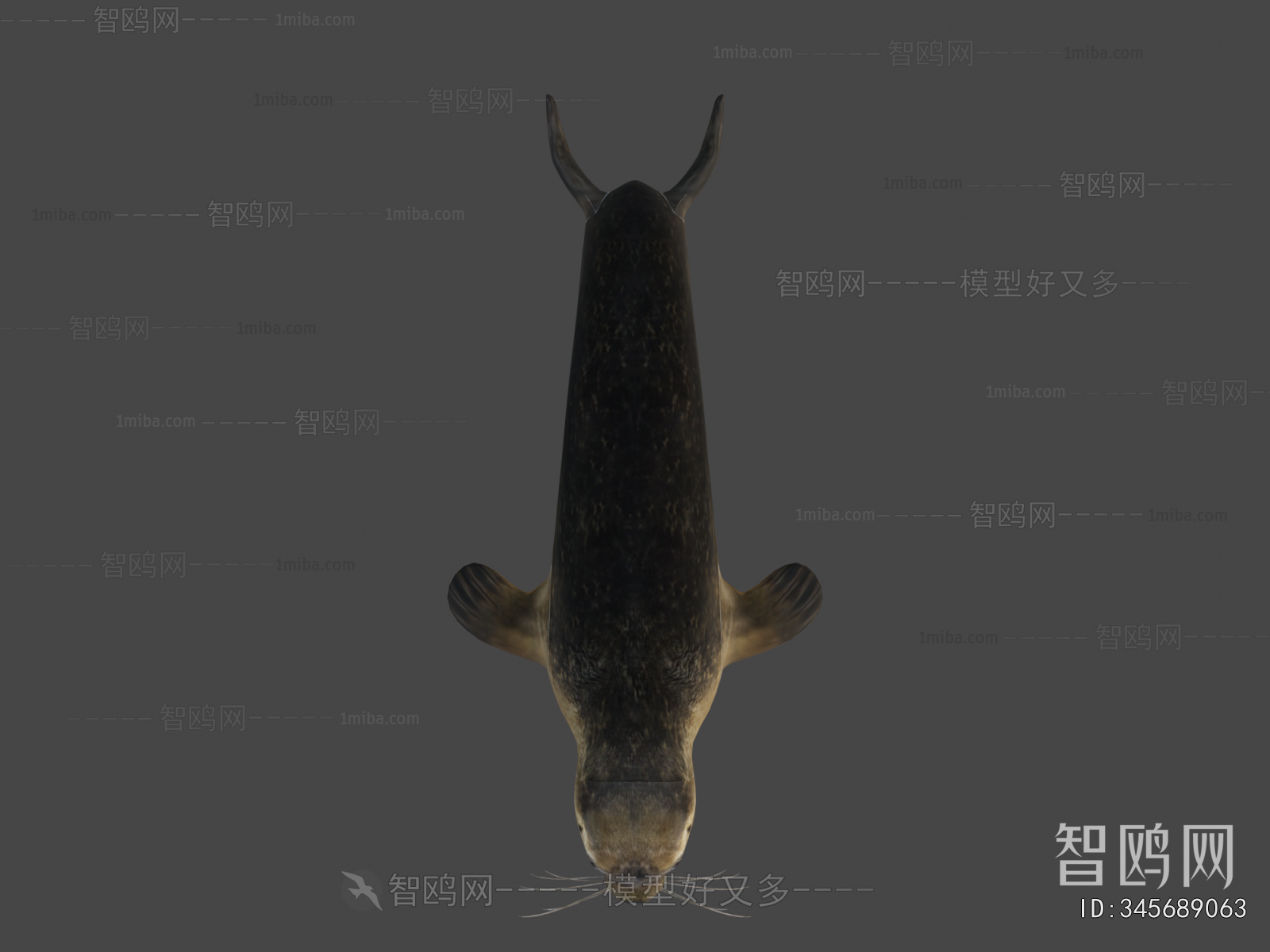 Modern Aquatic Animals