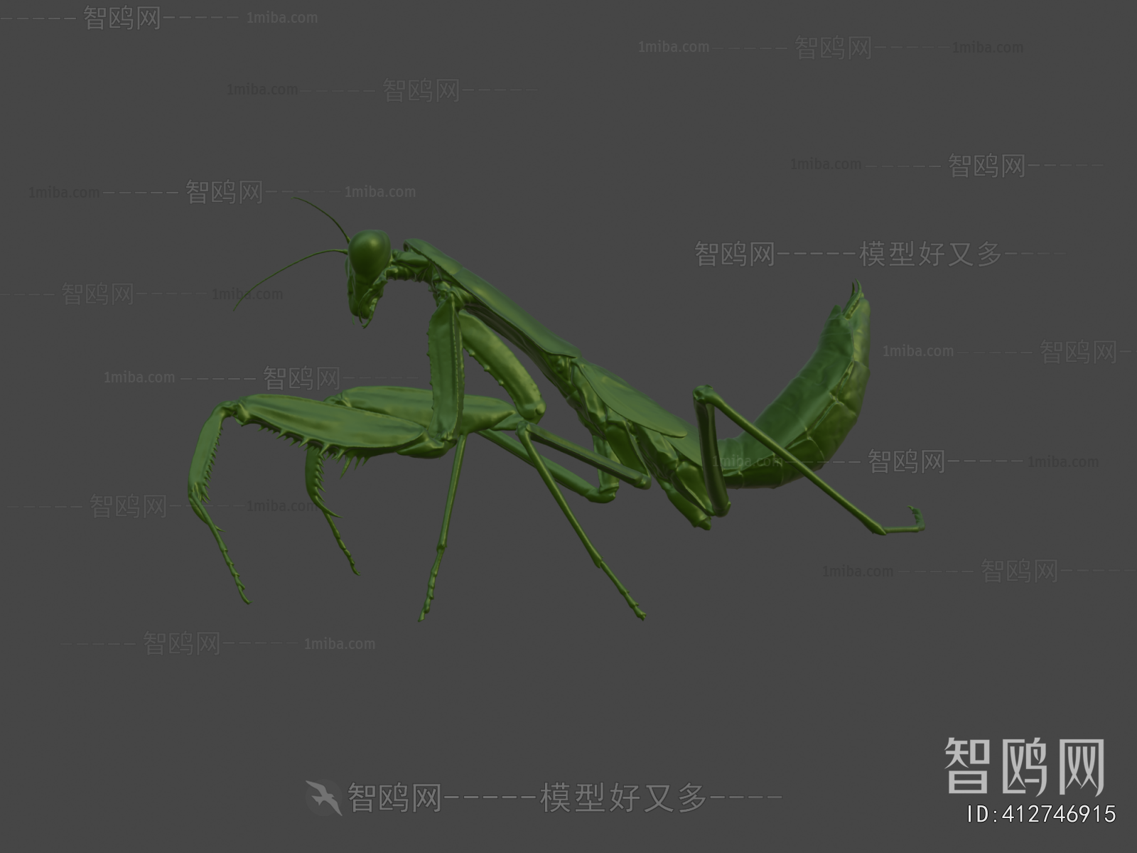 Modern Other Animals