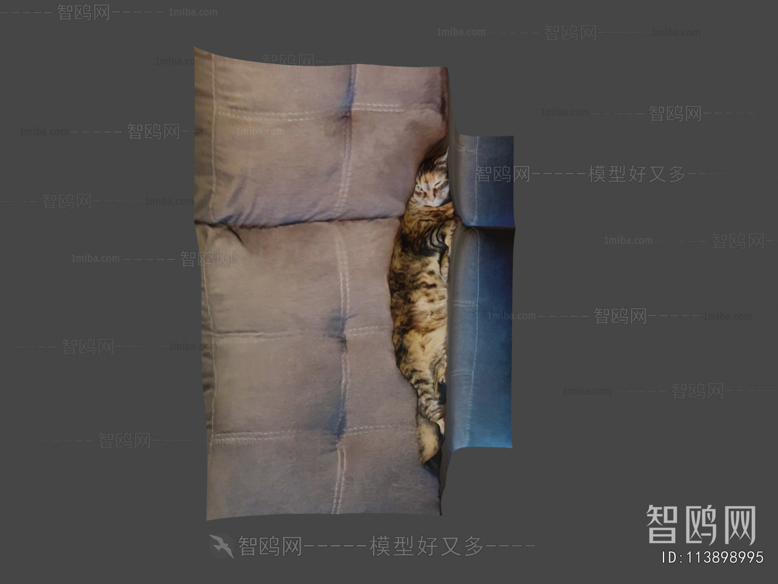 Modern Animal Cat