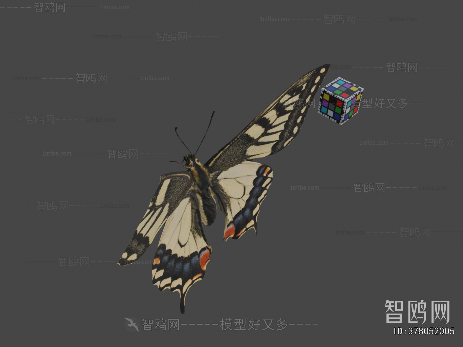 Modern Other Animals