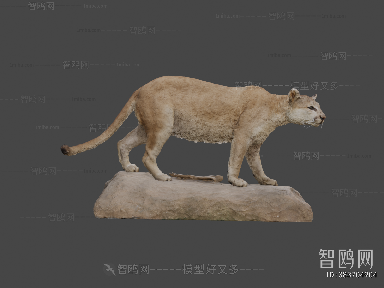 Modern Animal
