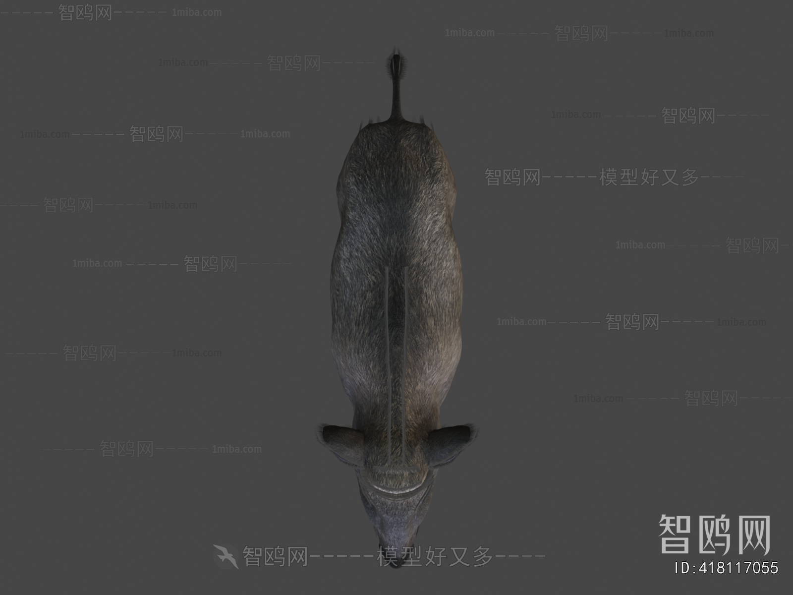 Modern Animal Pig