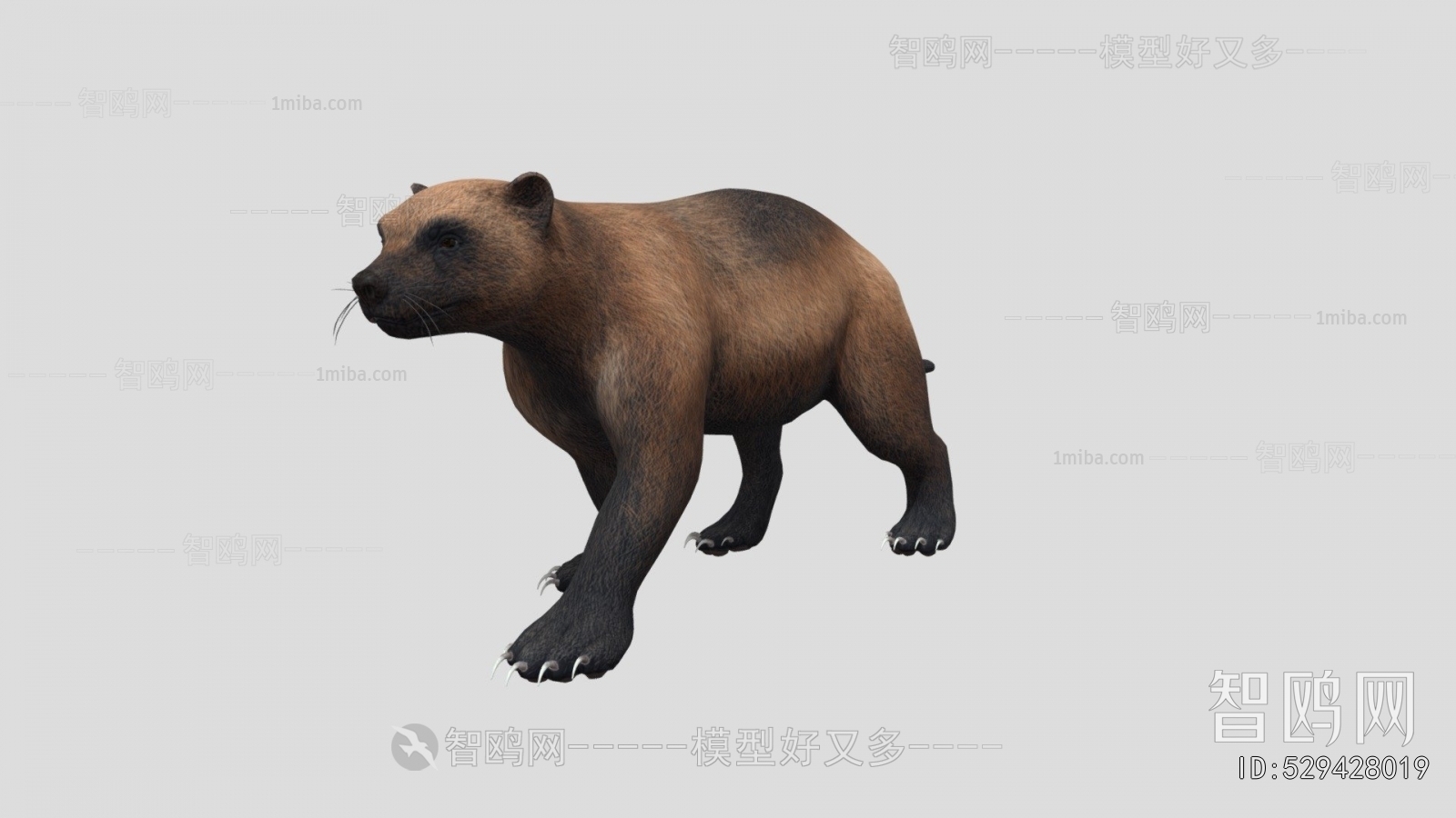 Modern Animal