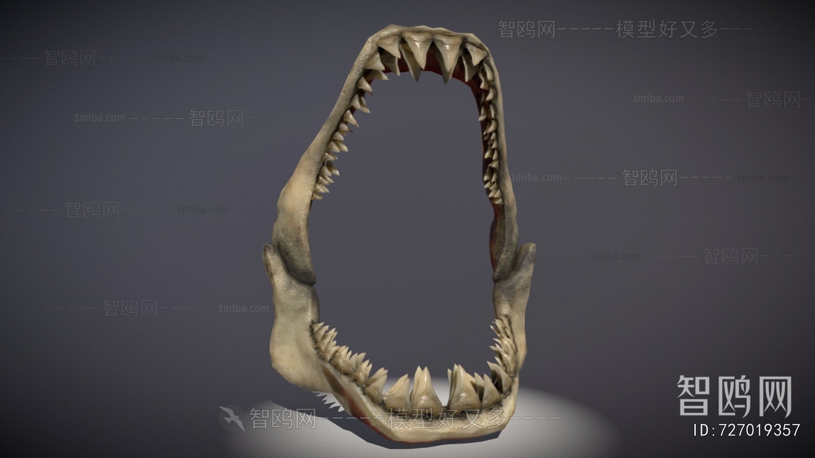 Modern Medical Equipment