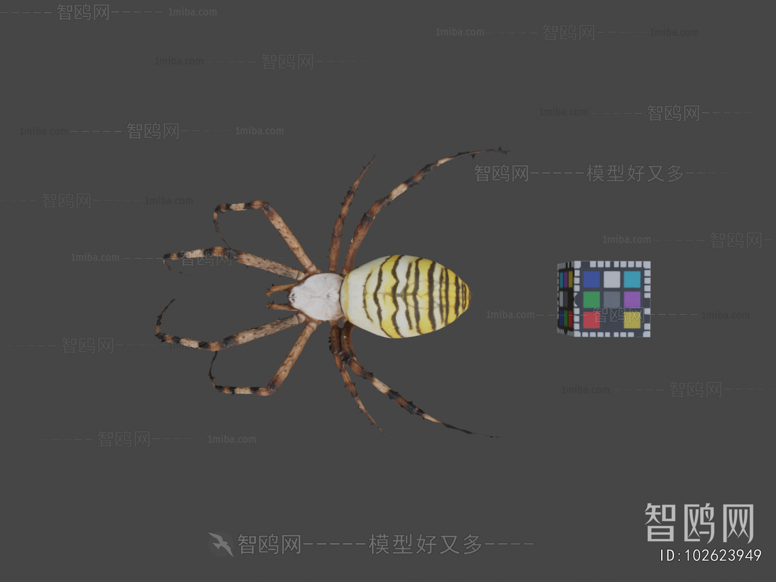 Modern Animal