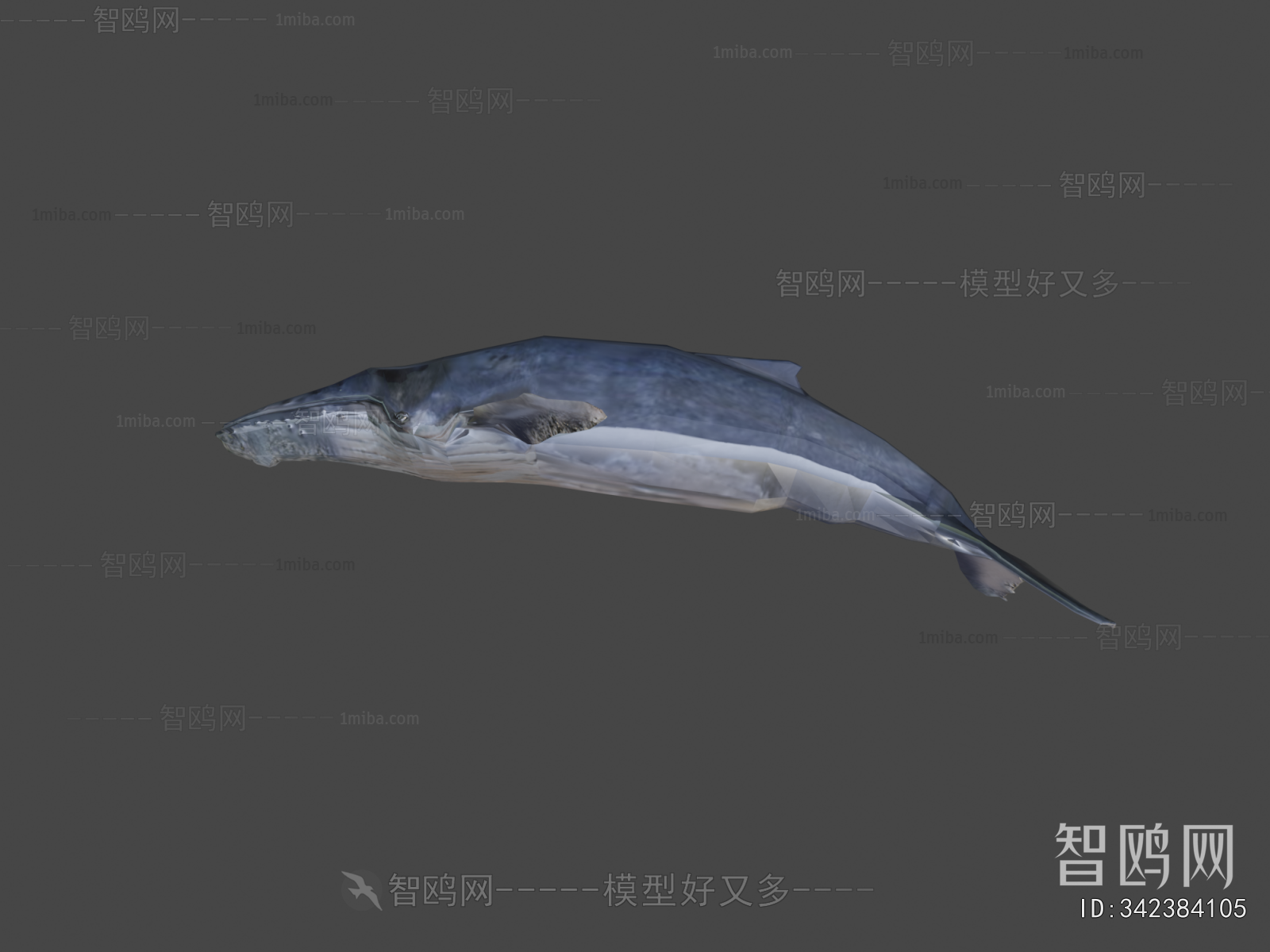 Modern Animal