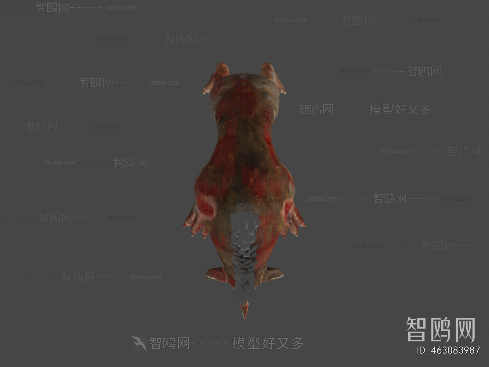 Modern Animal