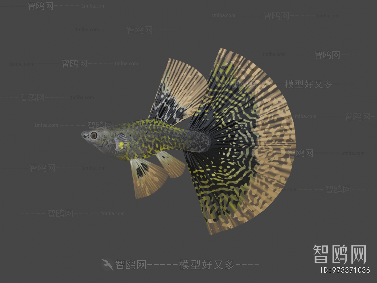 Modern Animal