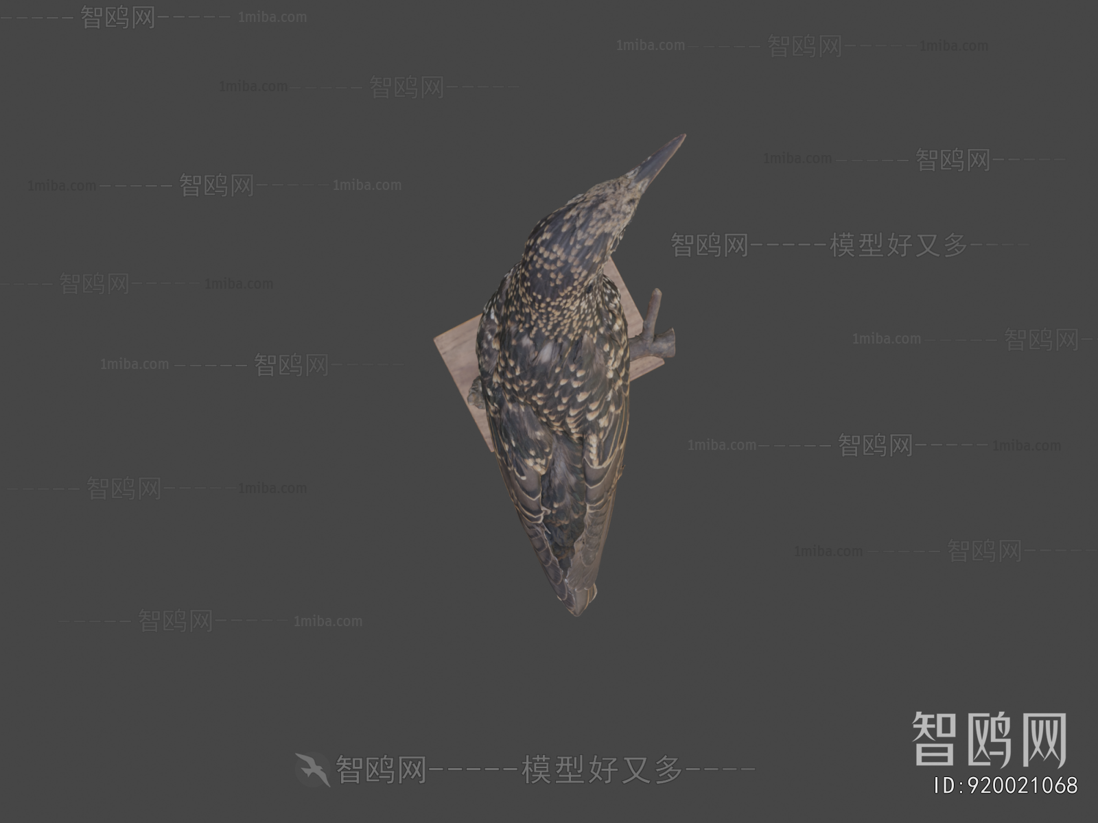 Modern Flying Animals