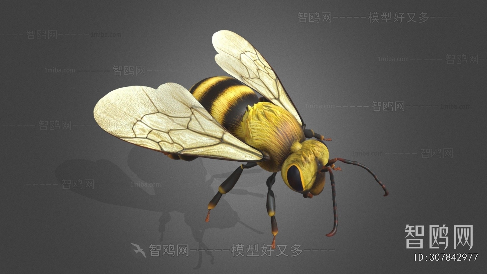 Modern Animal