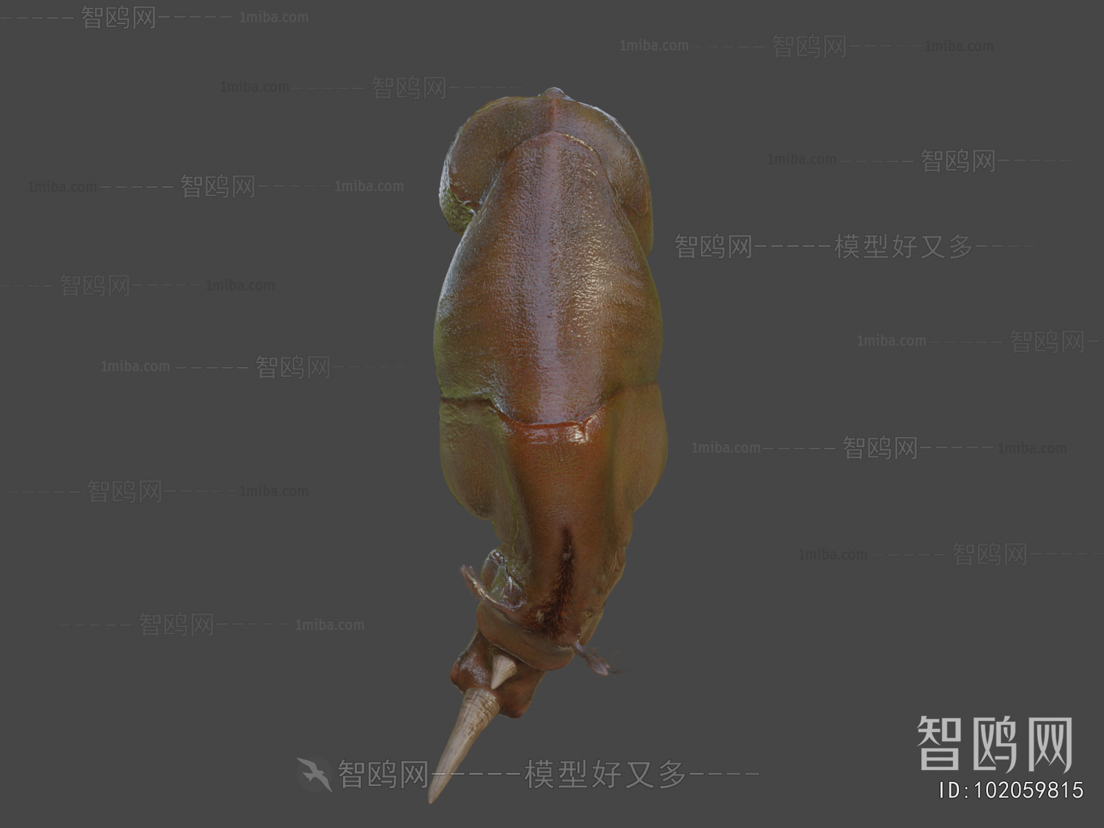 Modern Animal