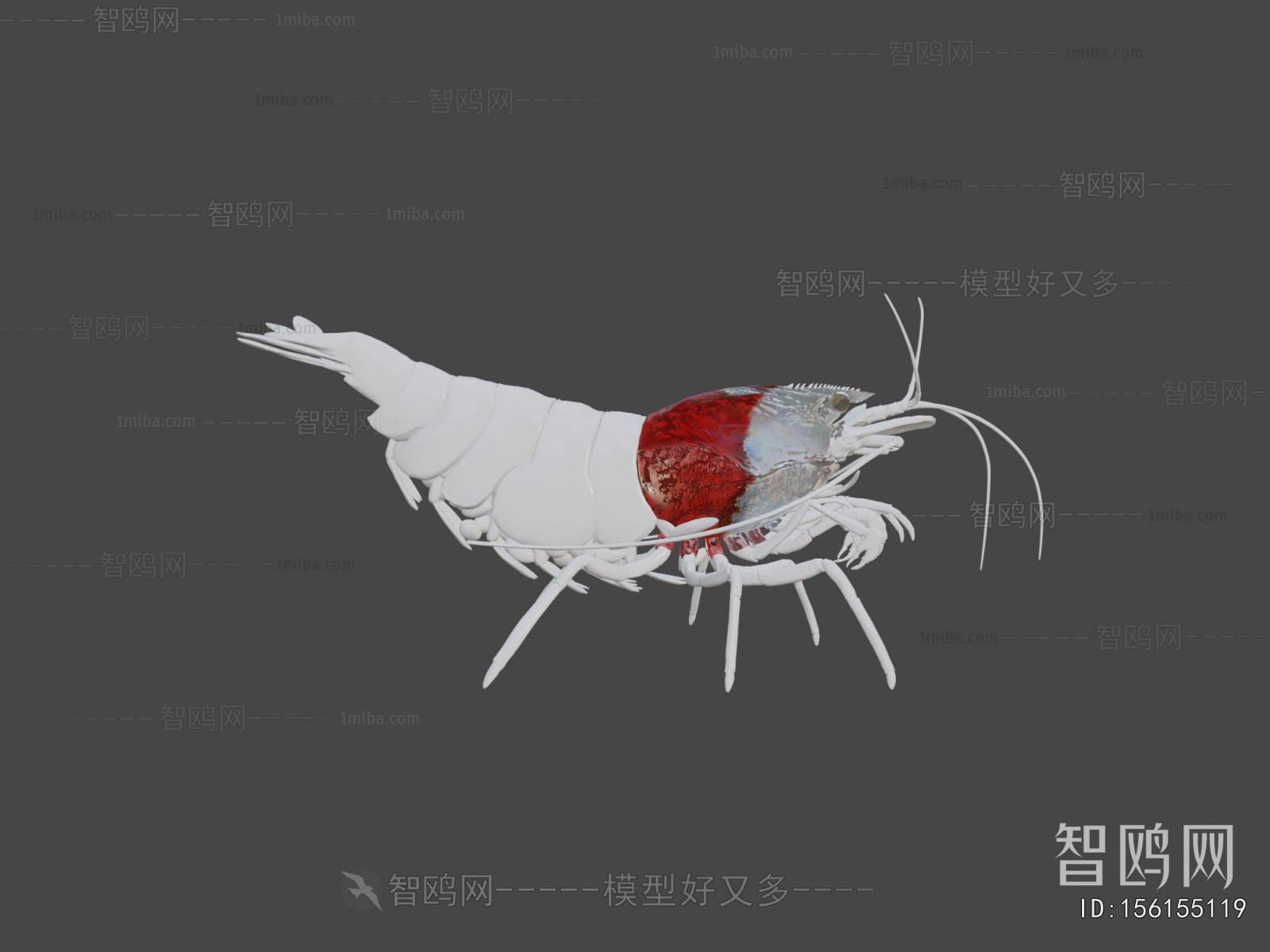Modern Animal