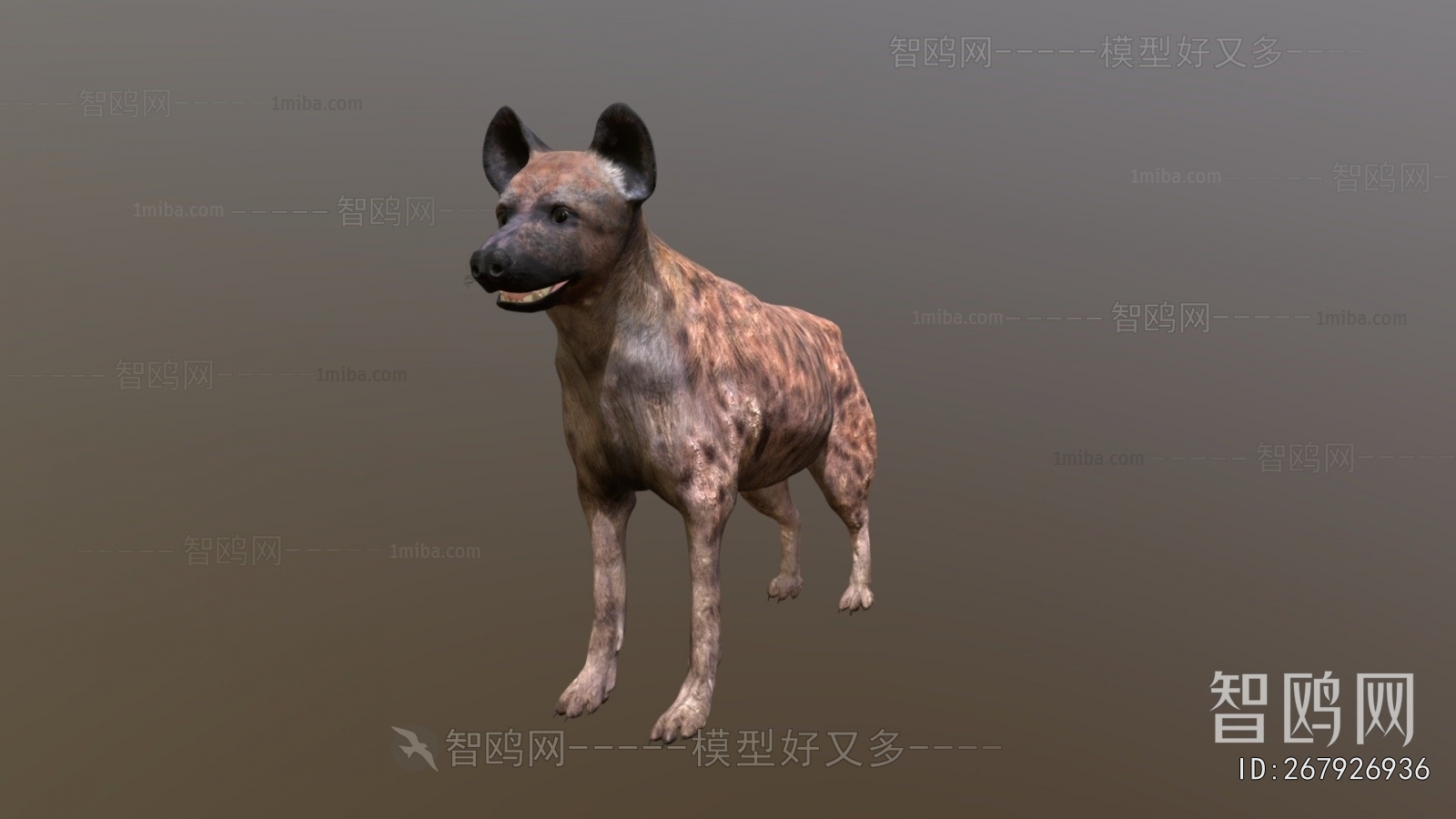 Modern Animal Dog