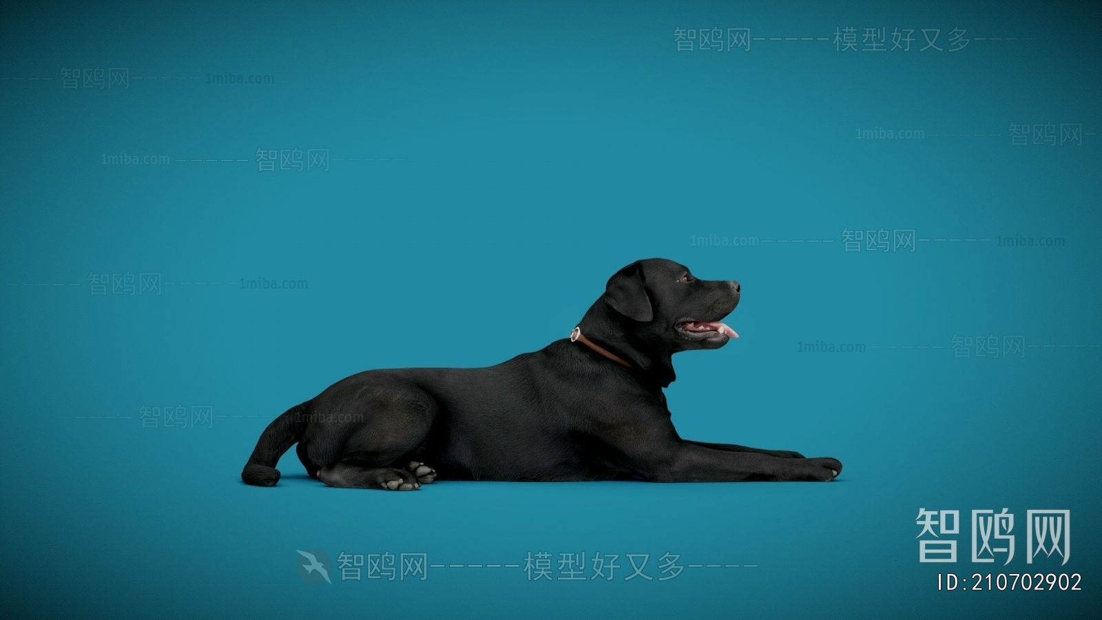 Modern Animal Dog
