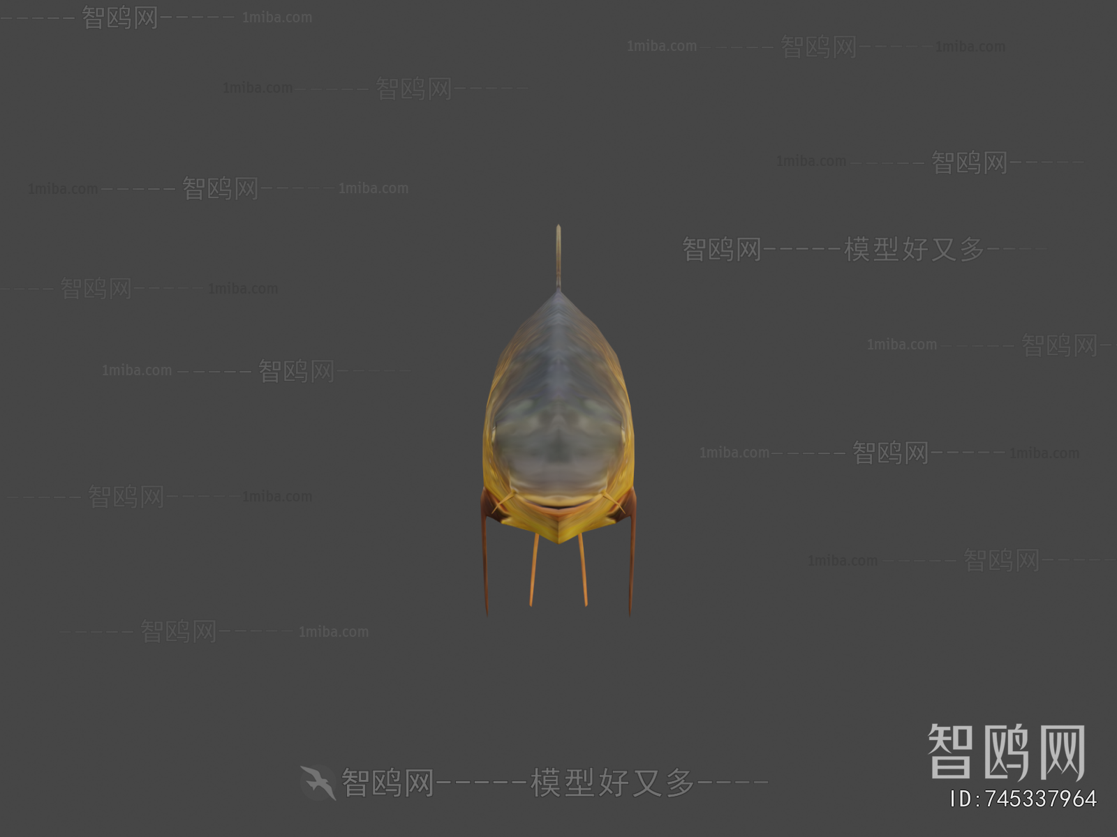 Modern Aquatic Animals
