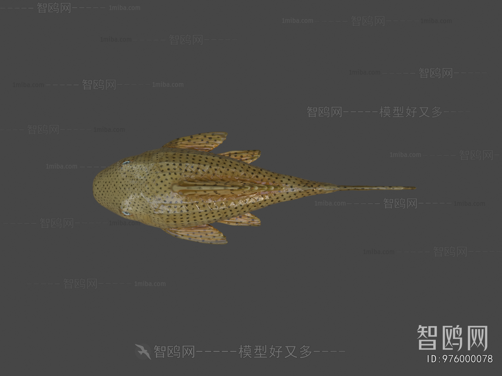 Modern Aquatic Product