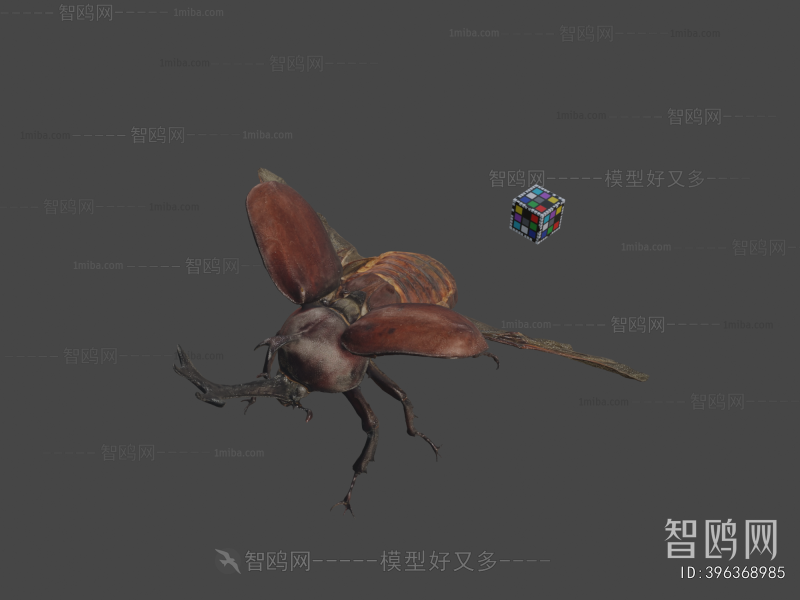 Modern Animal