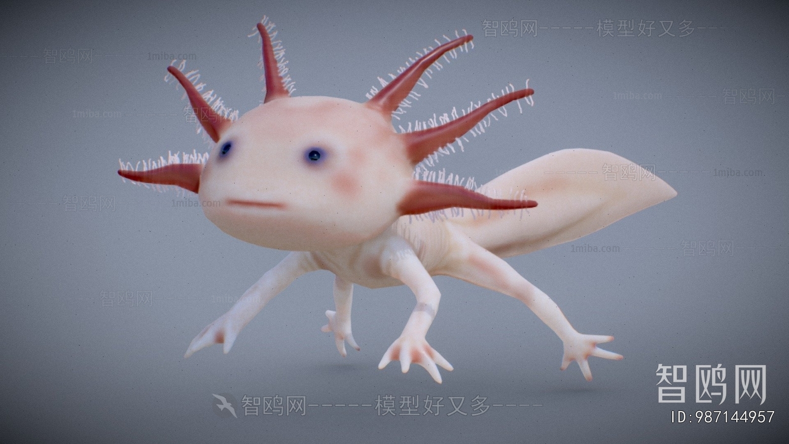 Modern Aquatic Animals