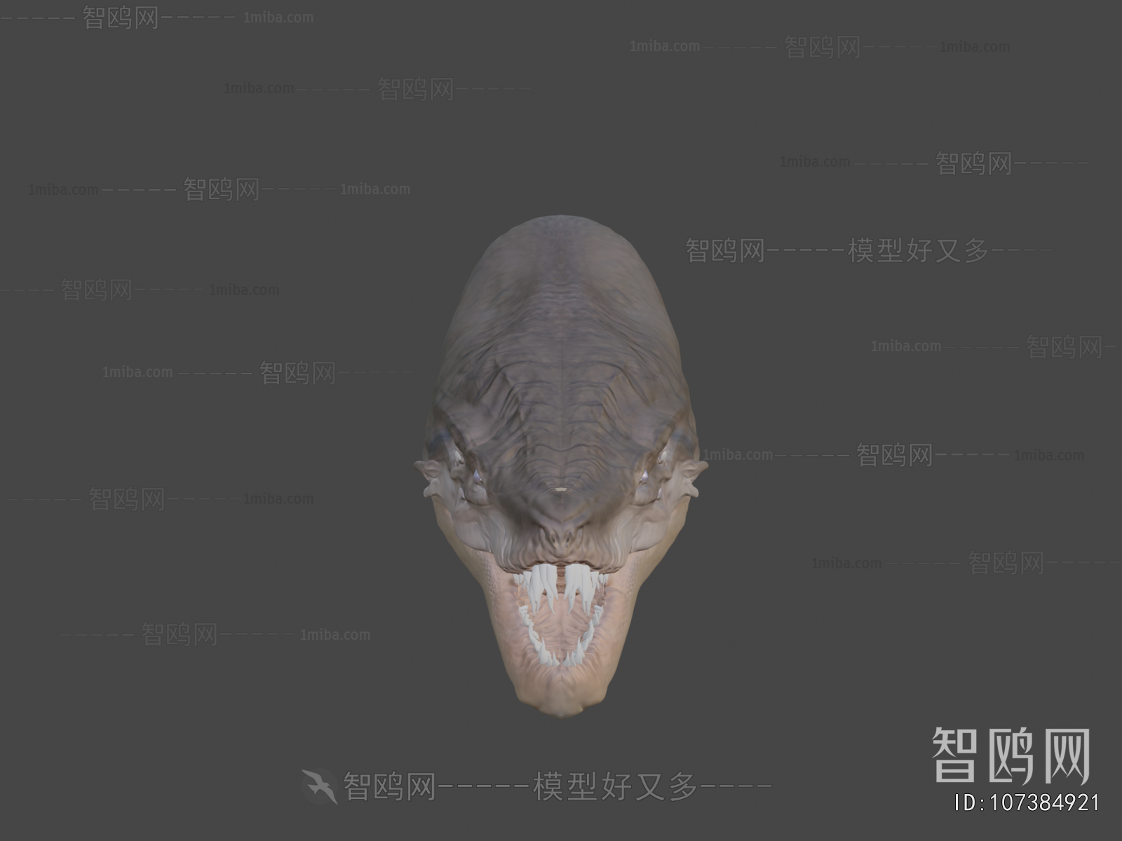 Modern Animal