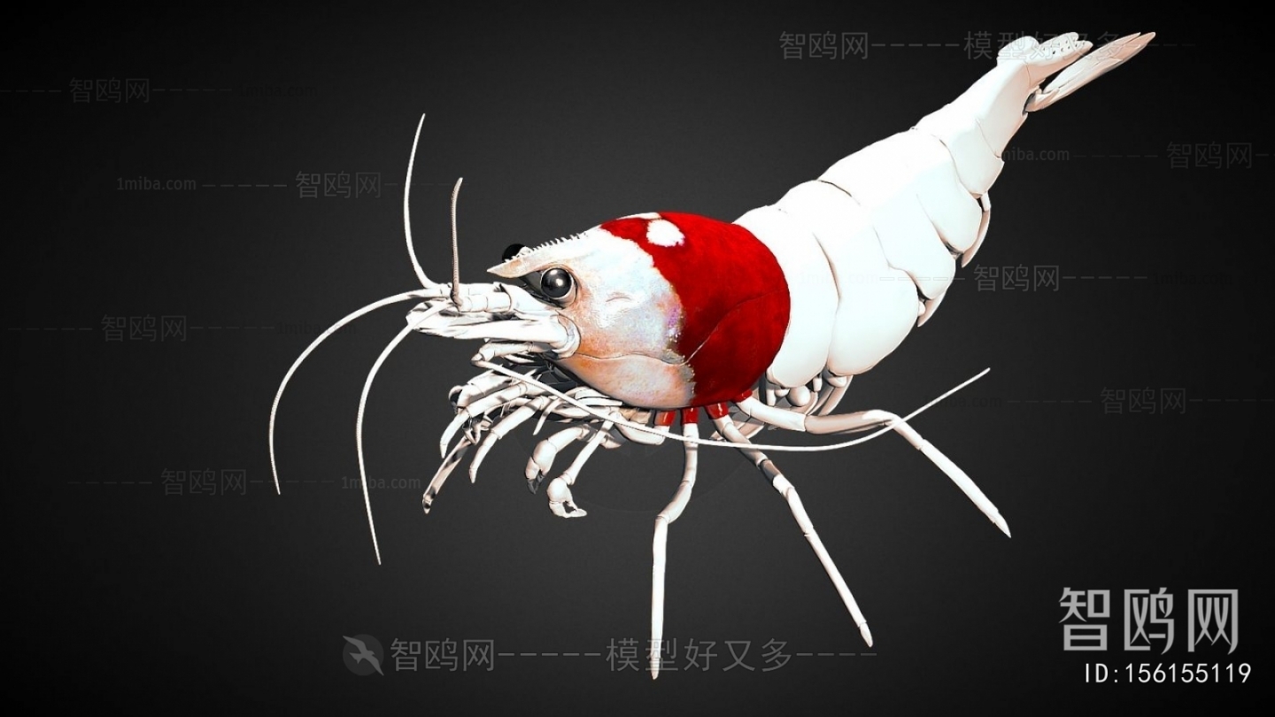 Modern Animal