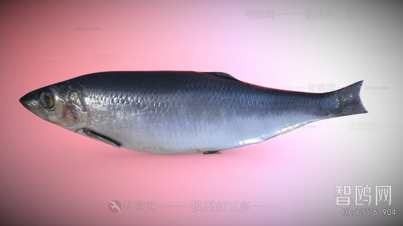 Modern Aquatic Product