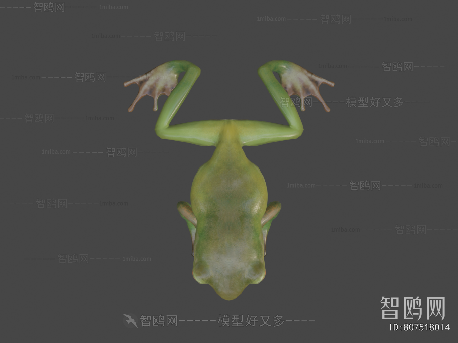 Modern Reptile