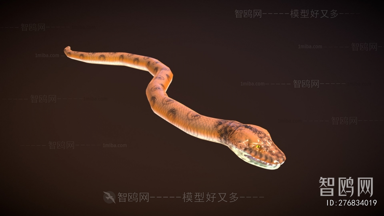 Modern Animal