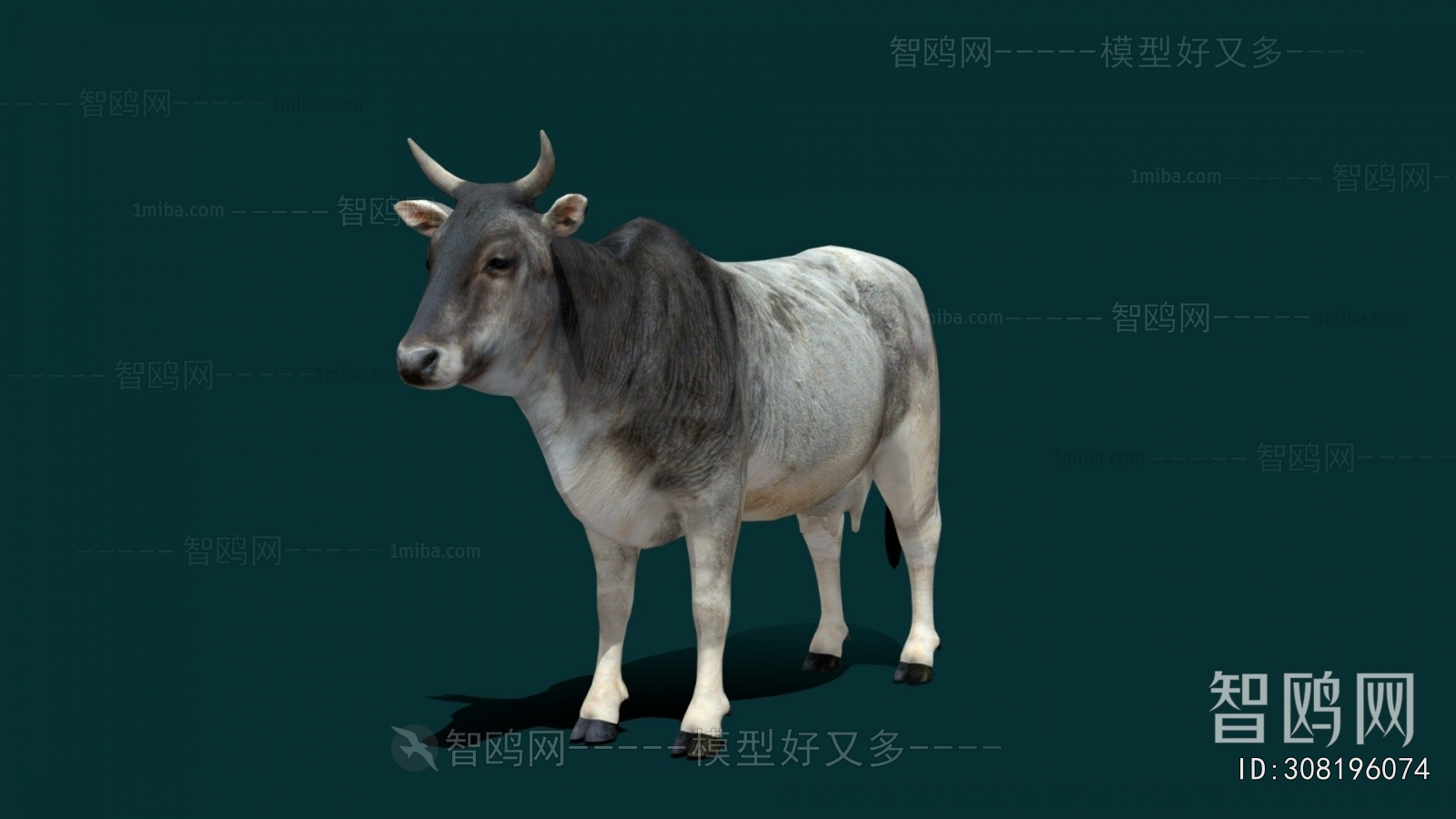 Modern Mammal