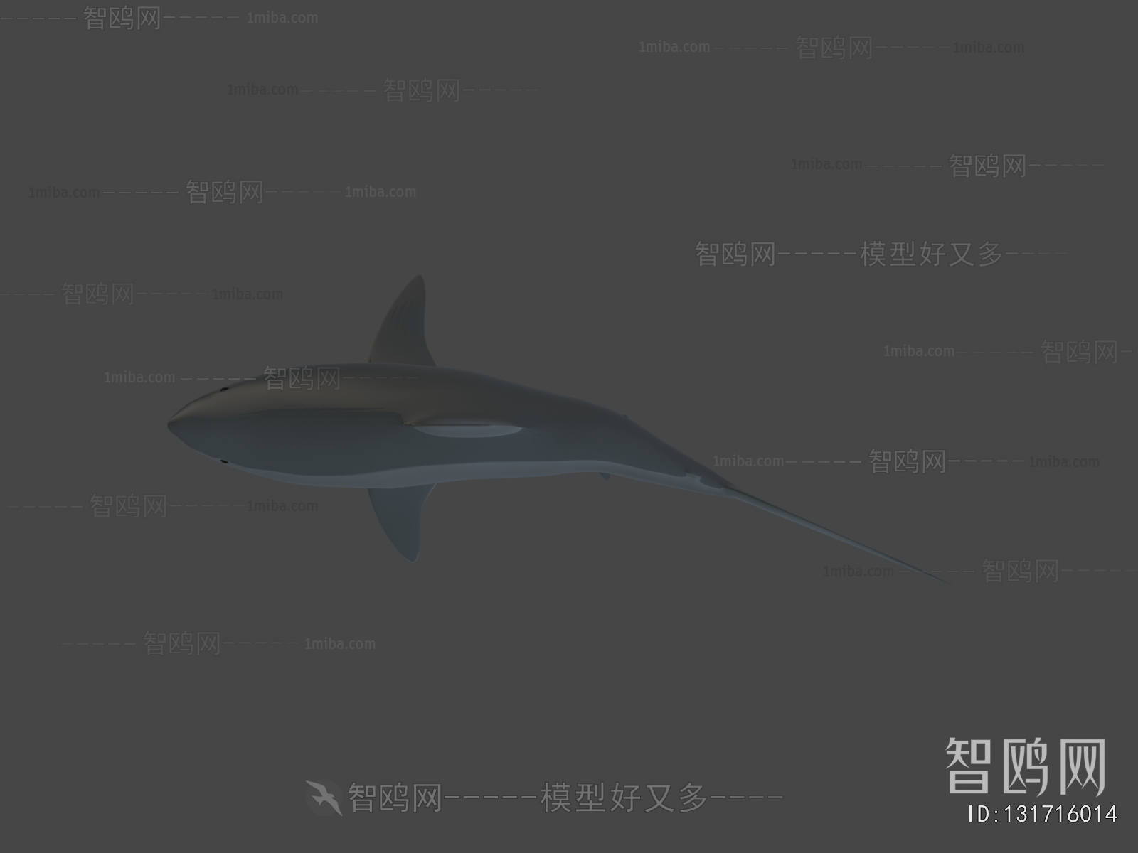 Modern Animal