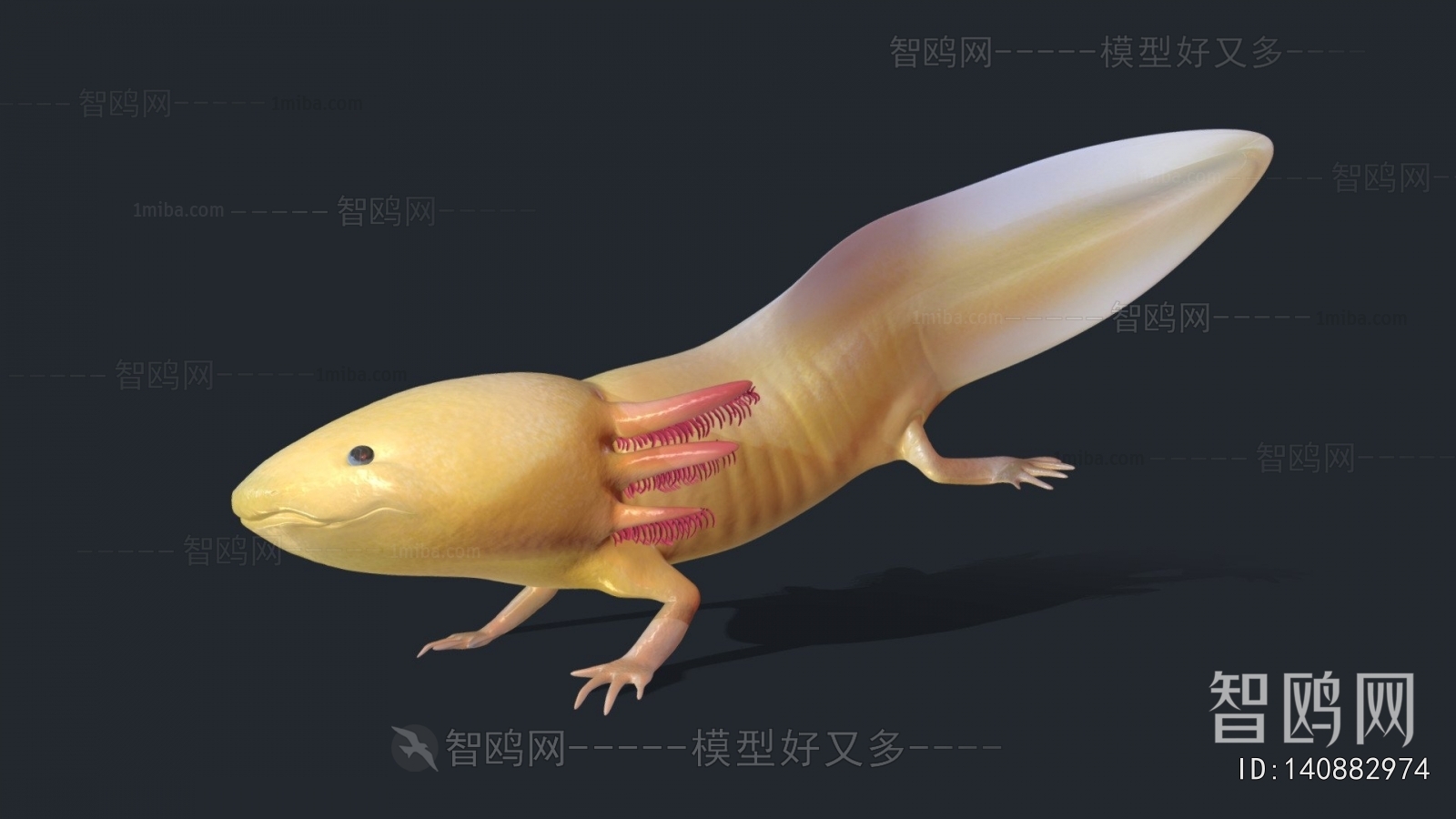 Modern Aquatic Animals