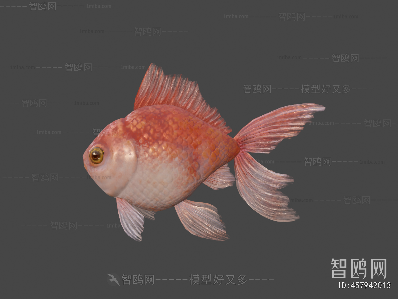 Modern Aquatic Animals