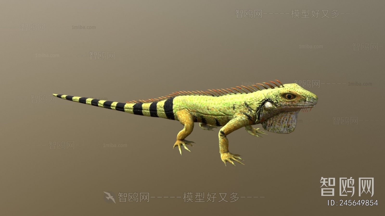 Modern Reptile