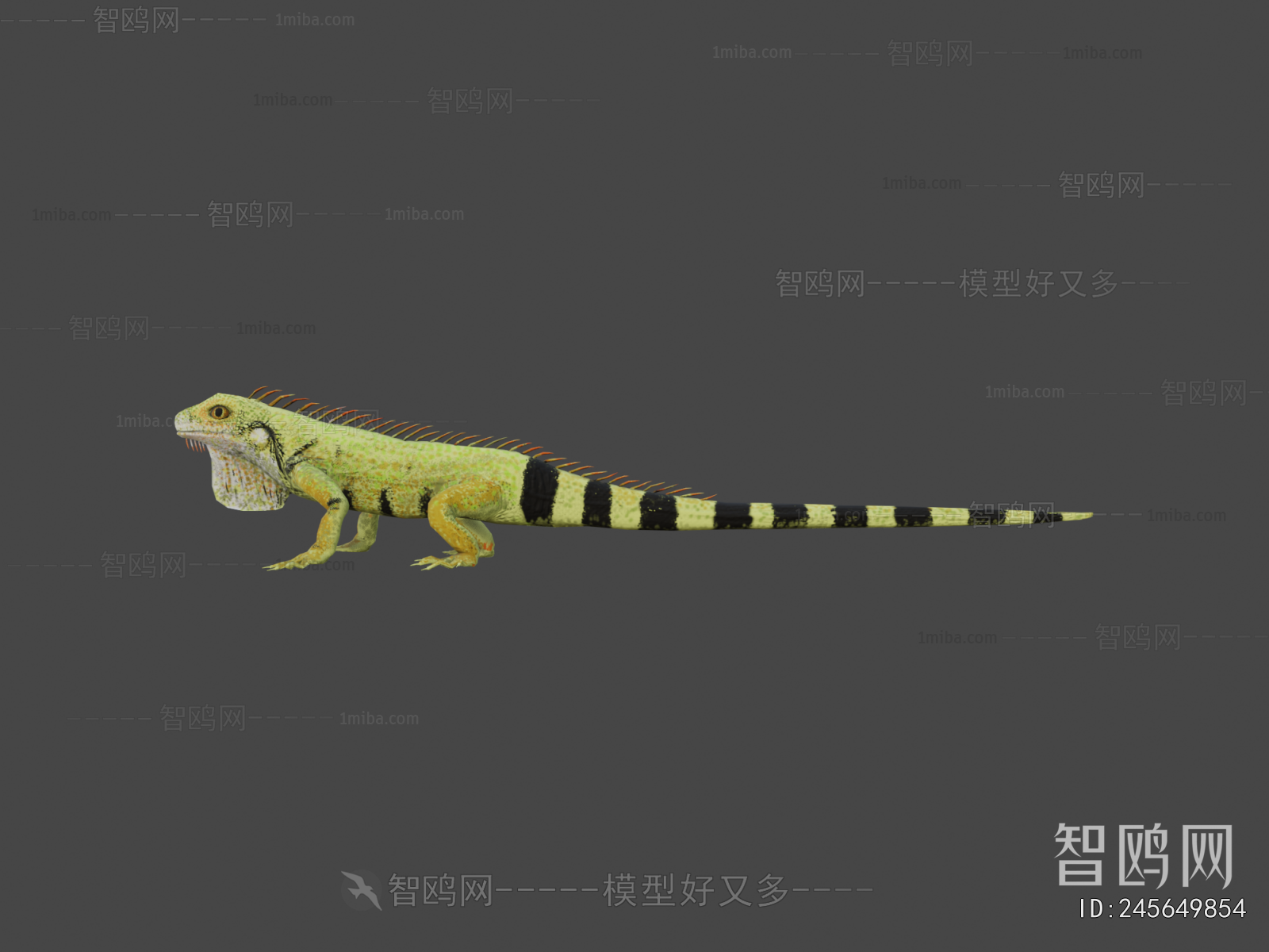 Modern Reptile