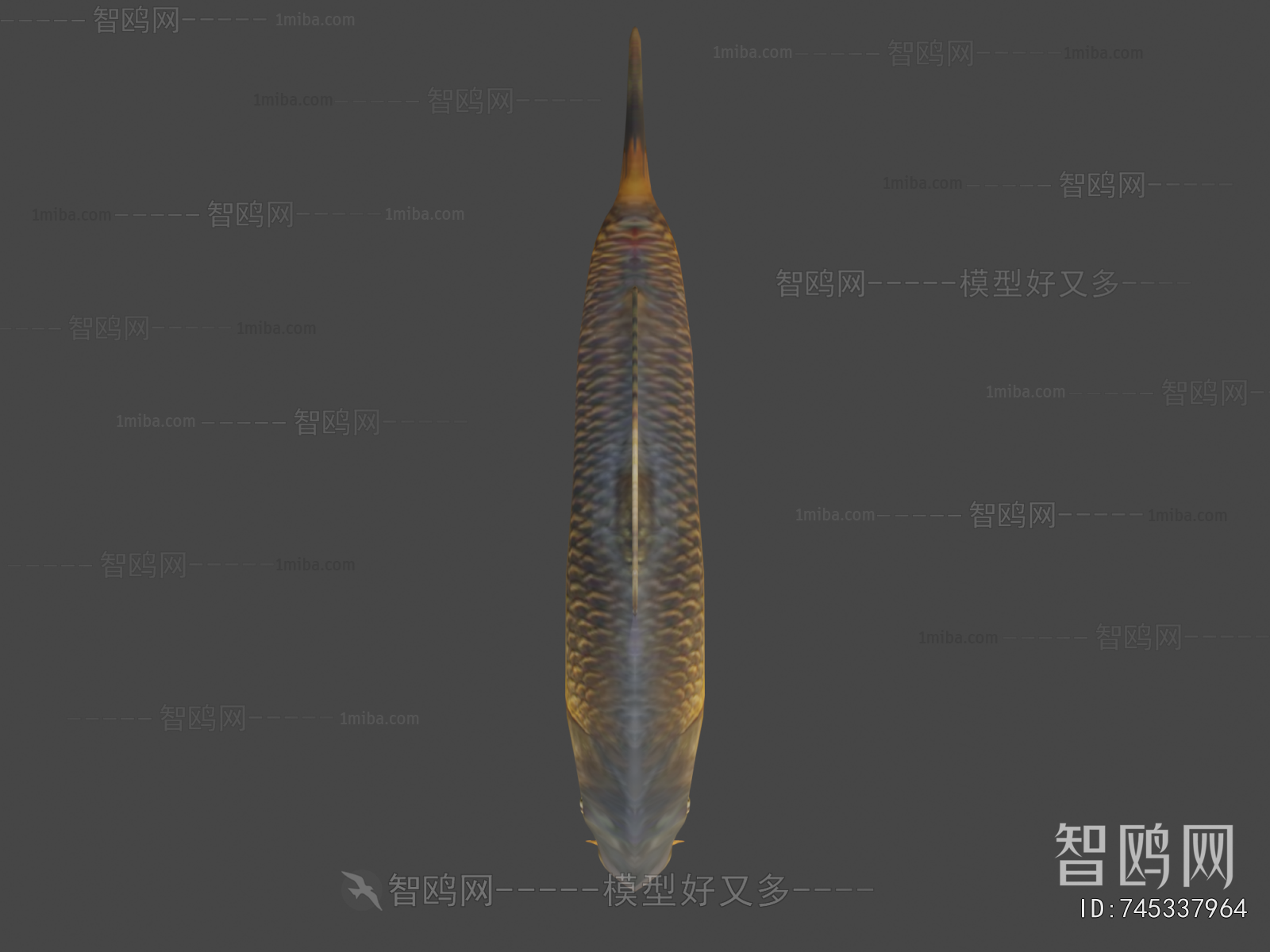 Modern Aquatic Animals