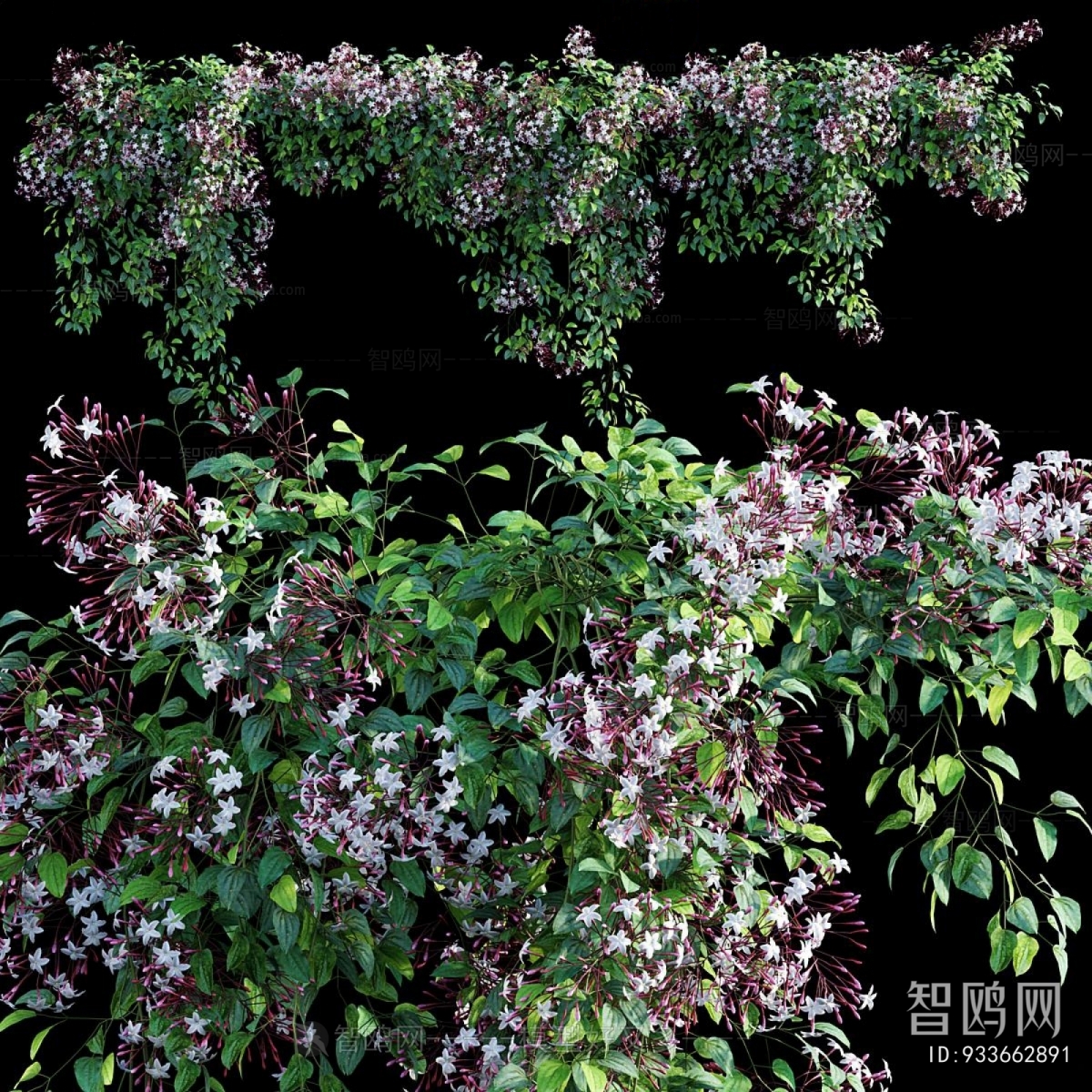 Modern Flowers And Grass