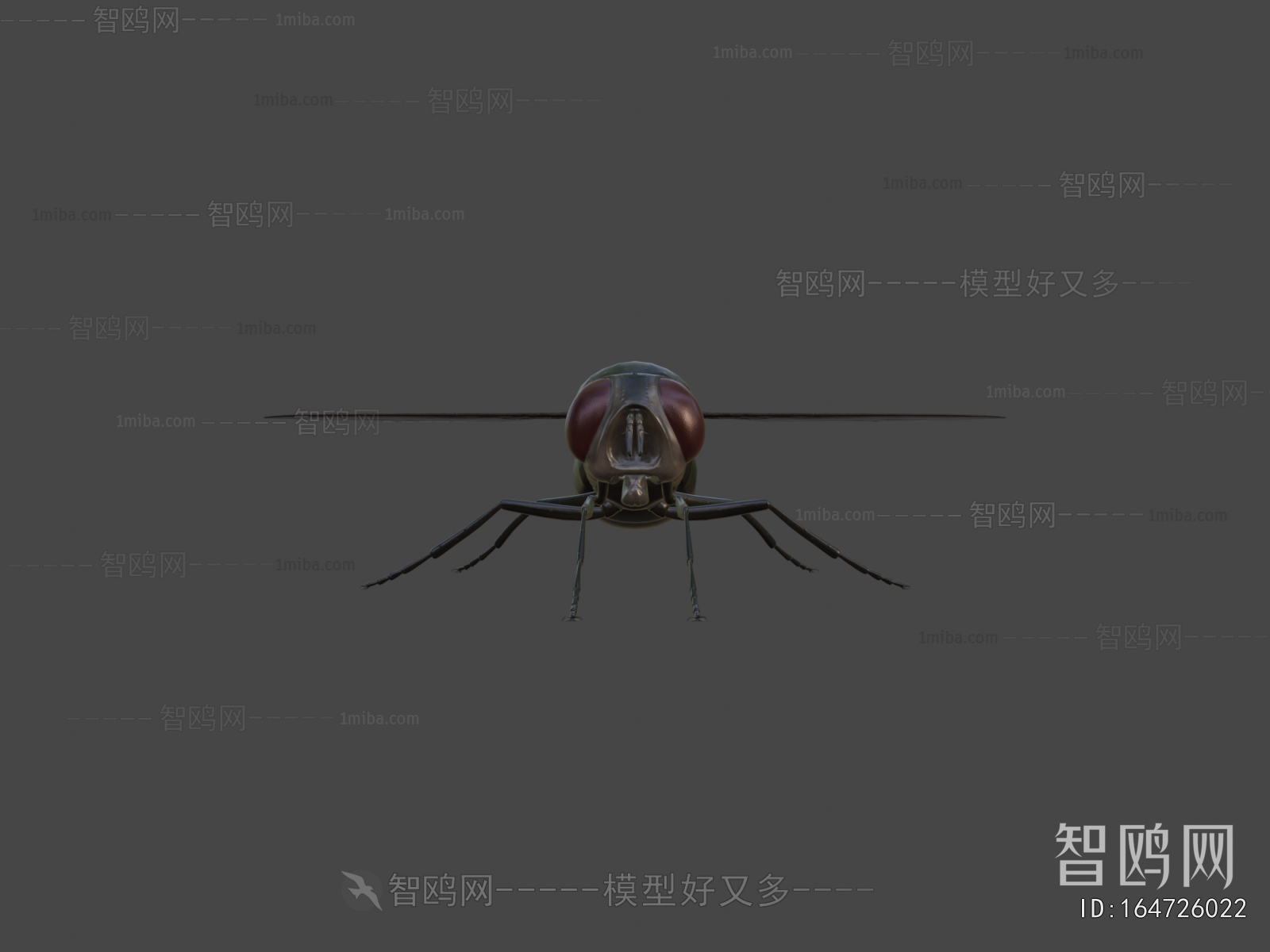 Modern Flying Animals