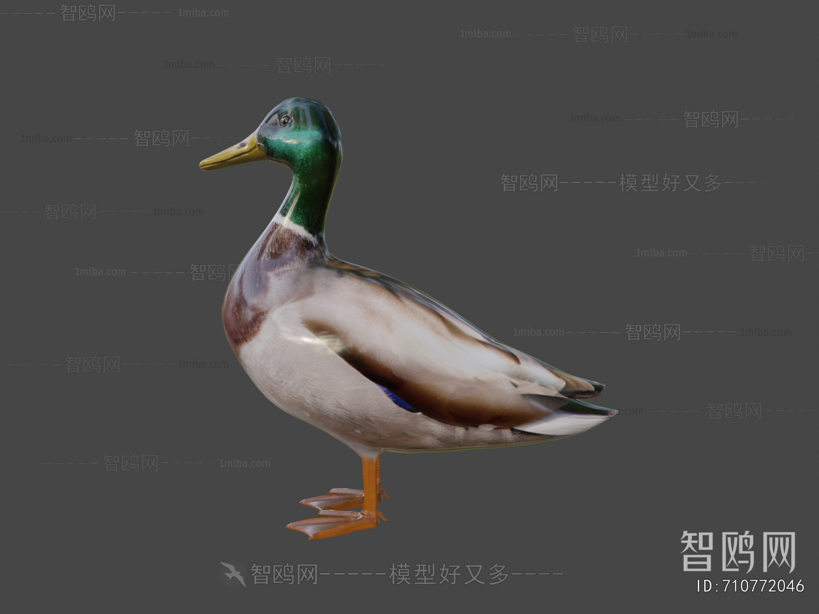 Modern Poultry Animal