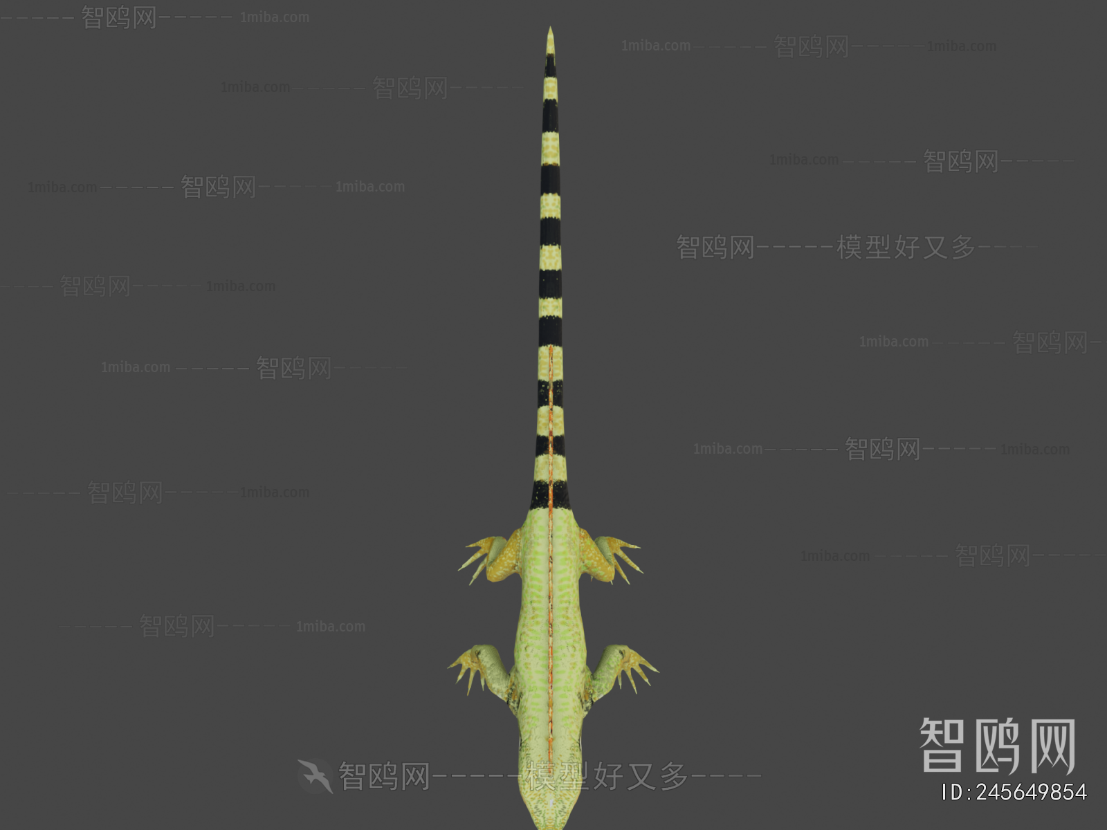 Modern Reptile