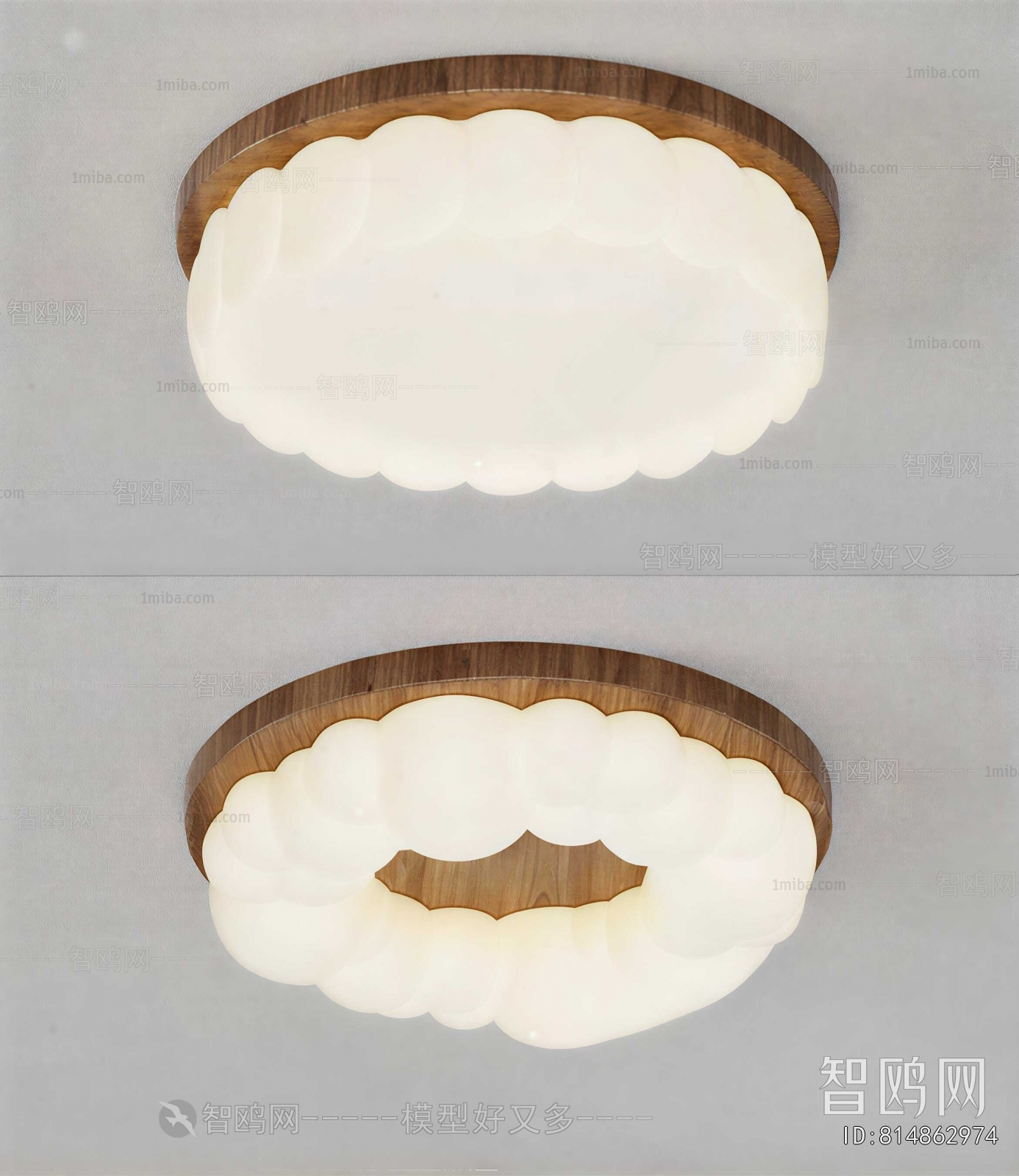 Modern Ceiling Ceiling Lamp
