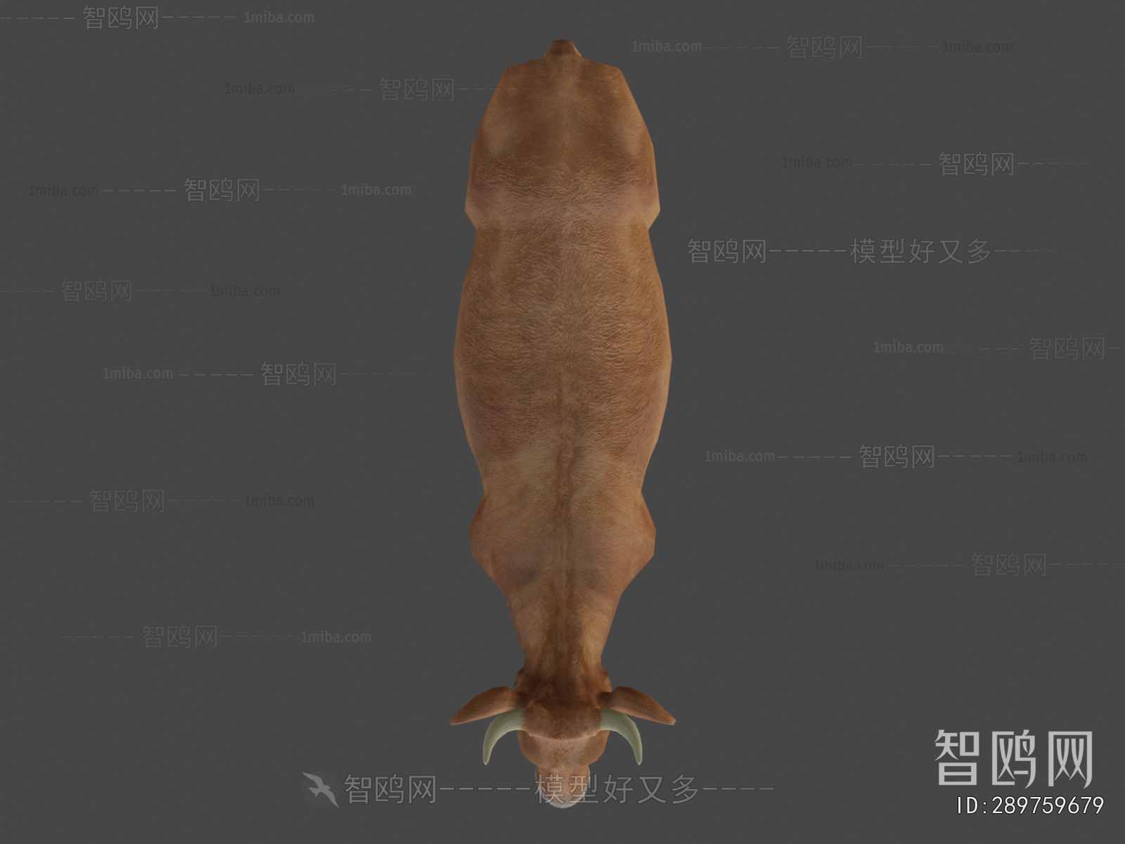 Modern Mammal