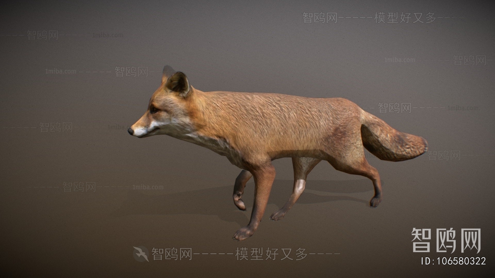 Modern Animal