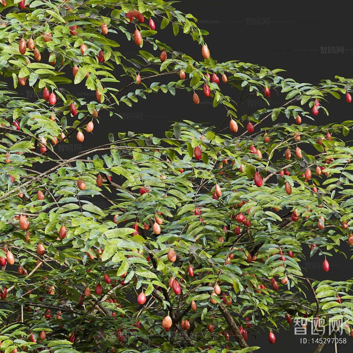 Modern Tree